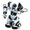 Robosapien