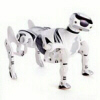Robopet